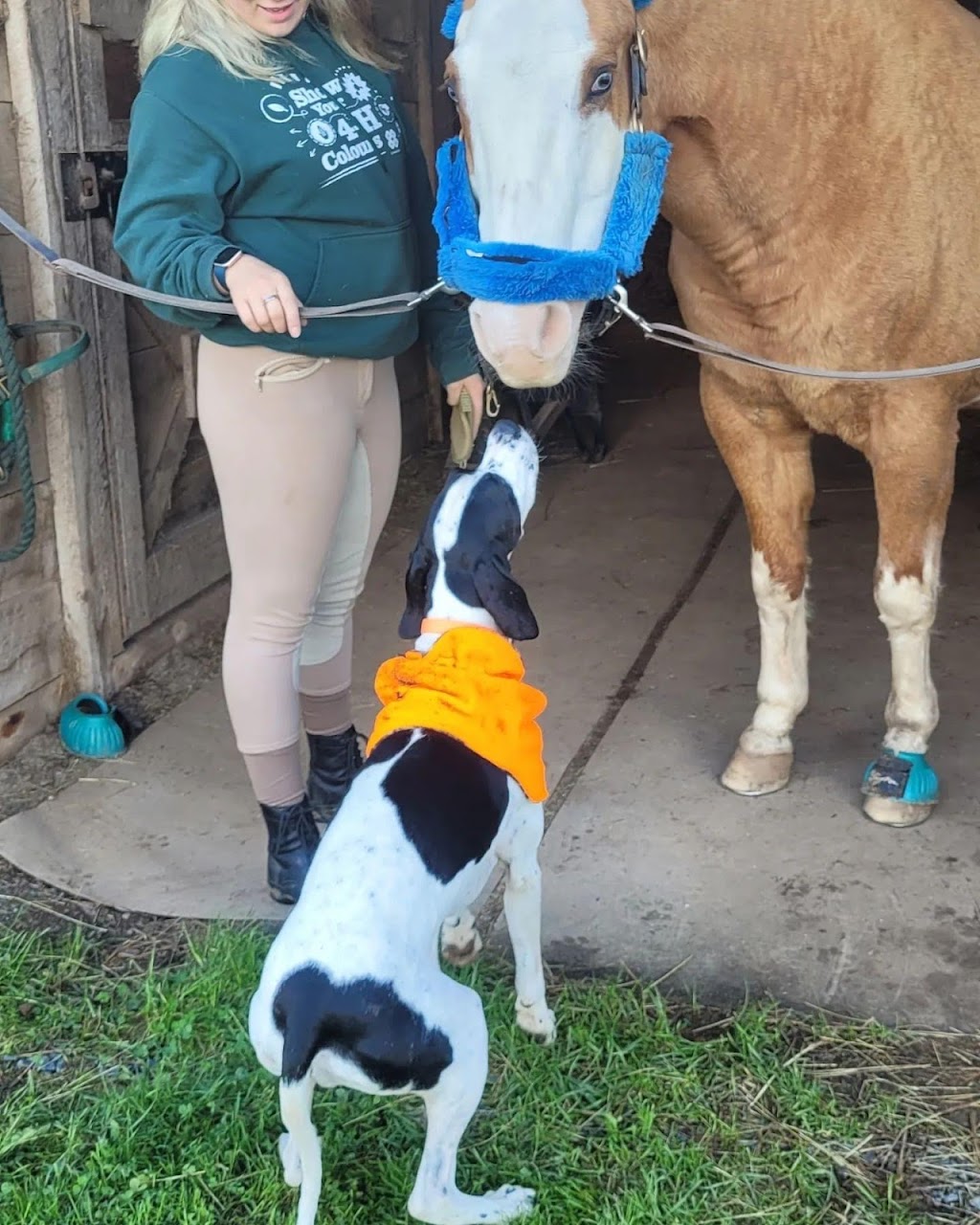 Muddy Paws Adventures, Nova Scotia | 820 McKay Rd, McKay Section, NS B0N 2A0, Canada | Phone: (902) 440-4872