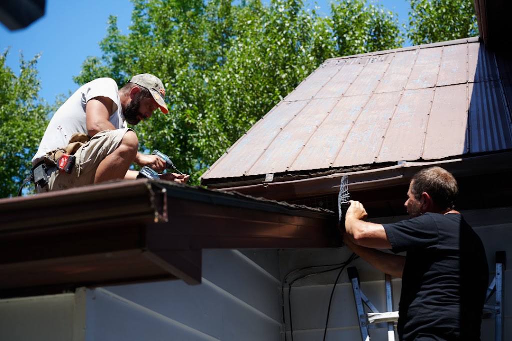 The Critter Guy Wildlife Removal | 143680, Side Rd 15, Owen Sound, ON N4K 5W4, Canada | Phone: (519) 783-1575