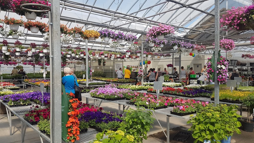 Sumka Brothers Greenhouses (1977) | 328 Peguis St, Winnipeg, MB R3W 1R4, Canada | Phone: (204) 661-9229