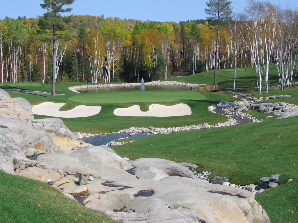 FlightLine Golf Inc. | 169 Lexington Ct unit g, Waterloo, ON N2J 4R9, Canada | Phone: (519) 725-0111