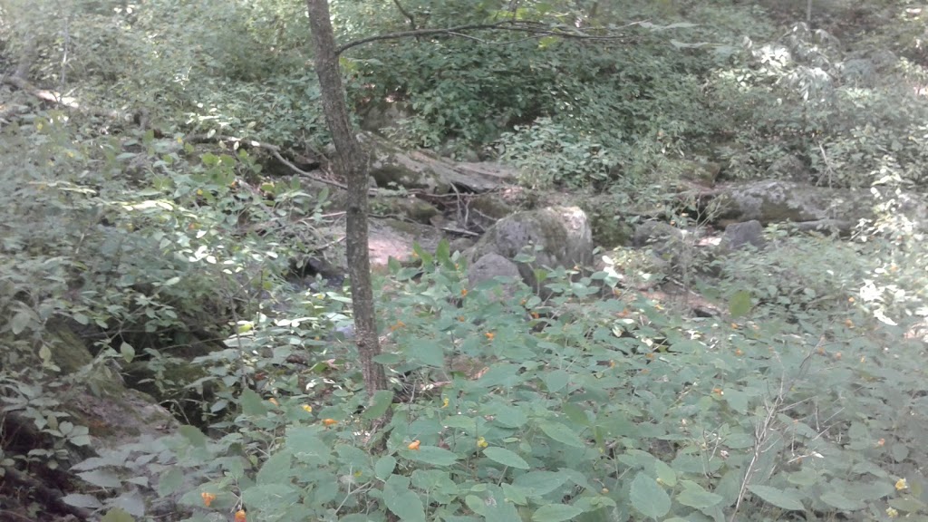 Conservation Lands | Mono Adjala Townline, Orangeville, ON L9W 2Z2, Canada | Phone: (416) 661-6600