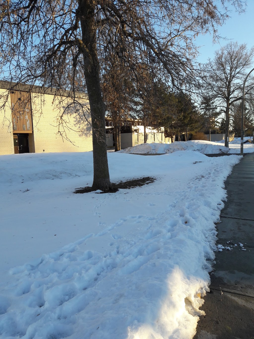 Bayshore Public School | 145 Woodridge Crescent, Nepean, ON K2B 7T2, Canada | Phone: (613) 828-8698