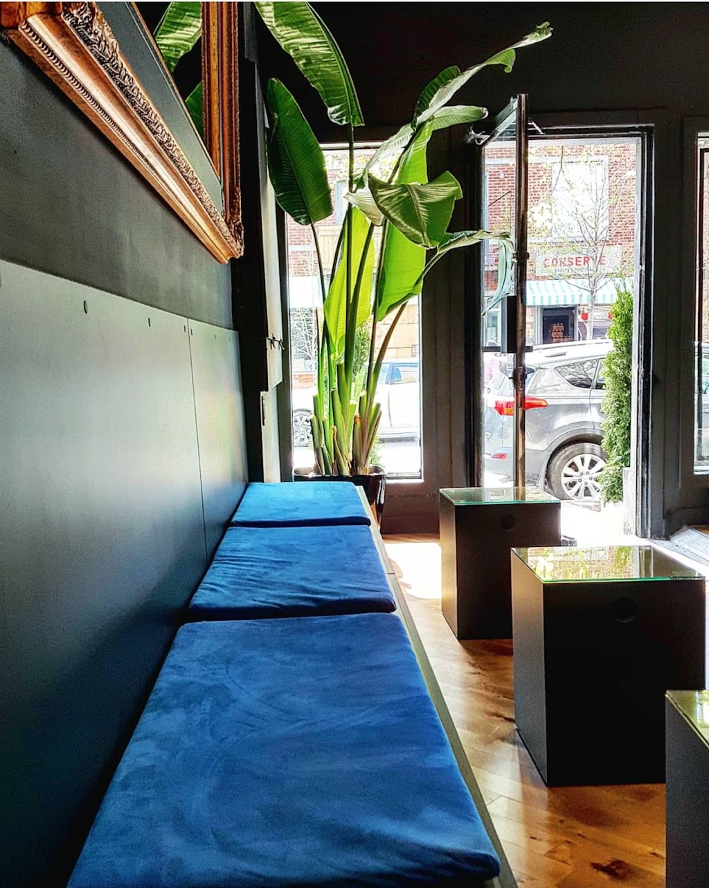 THE STANDARD PLATEAU | 65 Av. Fairmount O, Montréal, QC H2T 2M3, Canada | Phone: (514) 655-3715