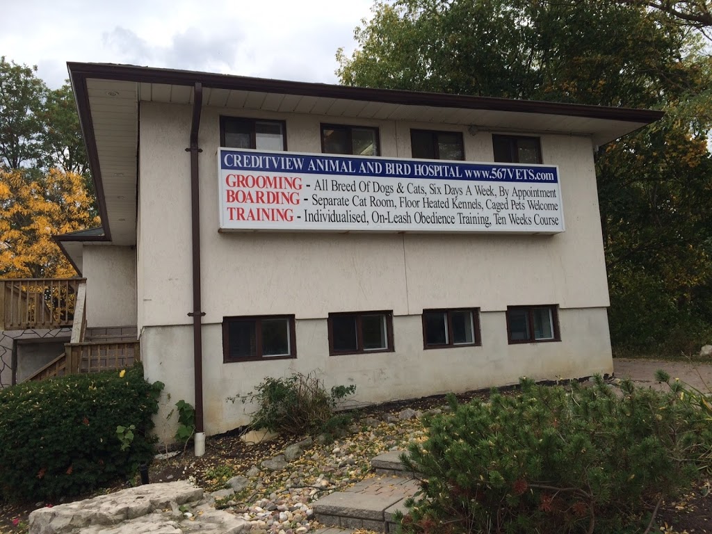 Creditview Animal & Bird Hospital | 5330 Creditview Rd, Mississauga, ON L5M 5N5, Canada | Phone: (905) 567-8387