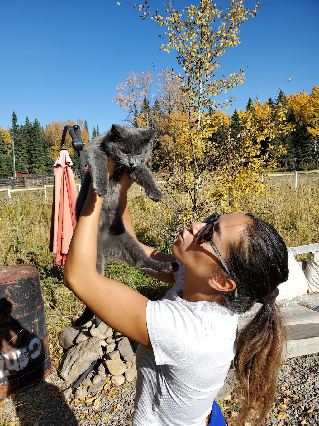 Kahou Farm | Township Rd 295A, Alberta T0M 2E0, Canada | Phone: (587) 891-3276