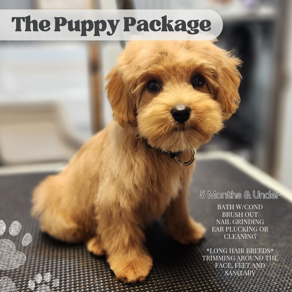 Pawsh Mountain Pet Spa | 210 2A Ave, Cowley, AB T0K 0P0, Canada | Phone: (778) 745-0154