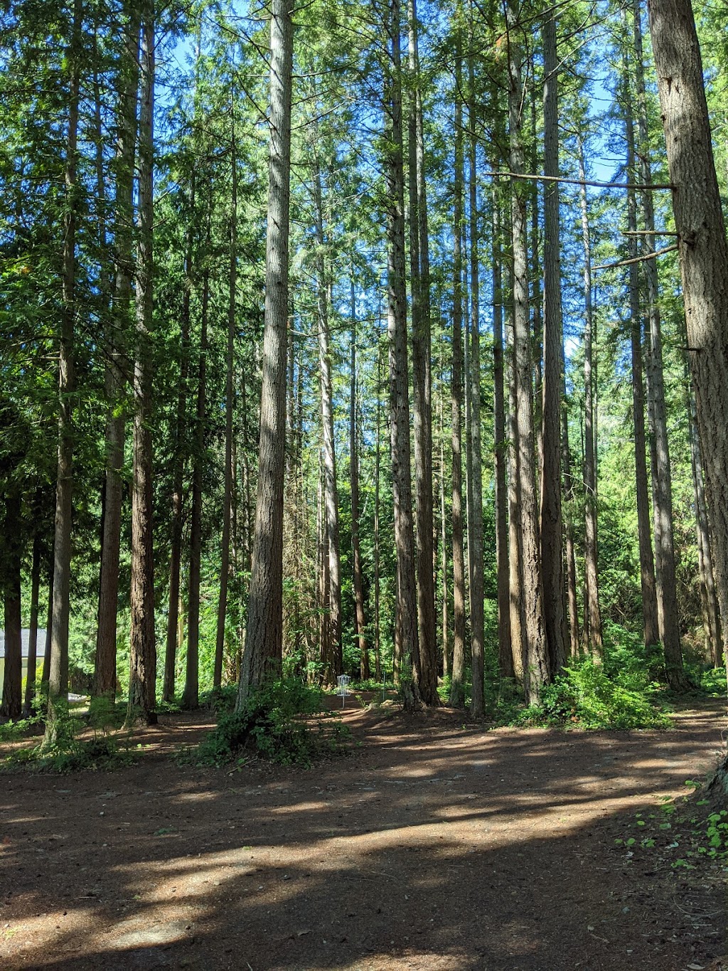 Sunset Park | Chilco Ave, Powell River, BC V8A 4Y7, Canada | Phone: (250) 893-4644