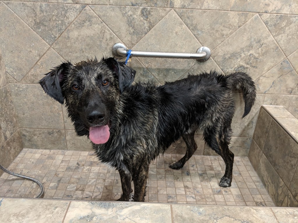 Pet Valu | 3 Reenders Dr, Winnipeg, MB R2C 5K5, Canada | Phone: (204) 654-9955