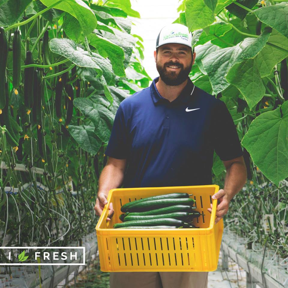 Vine Fresh Acres Ltd. | 420 Essex Road 14, Leamington, ON N8H 3V8, Canada | Phone: (519) 326-8808