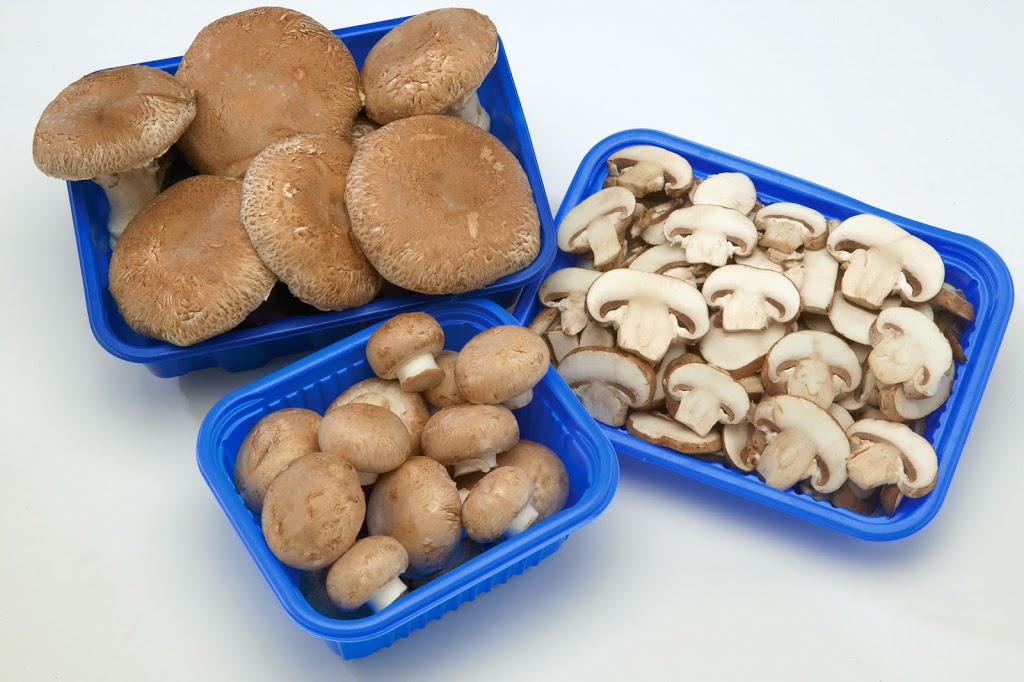 Canadian Mushroom Growers Association / Mushrooms Canada | 60 Elora St S, Harriston, ON N0G 1Z0, Canada | Phone: (519) 510-8888