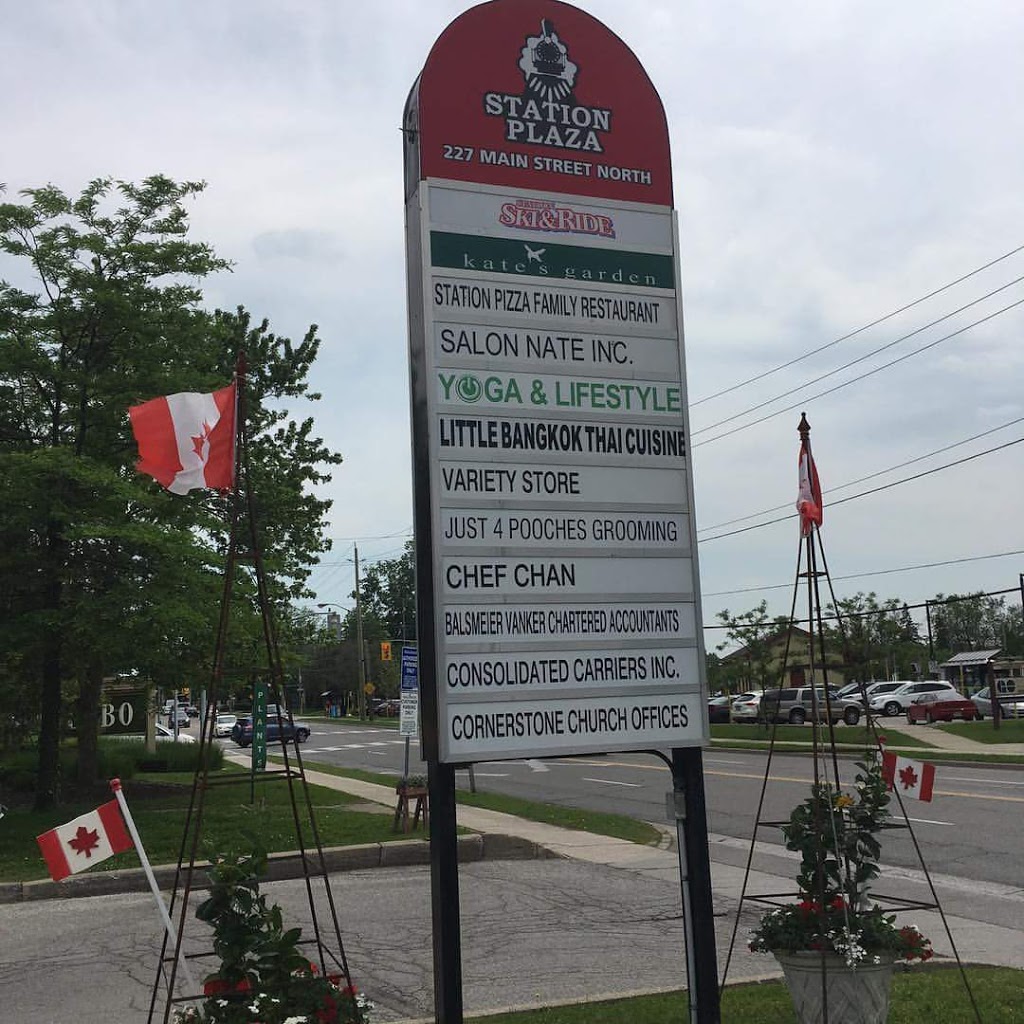 Yoga & Lifestyle | 227 Main St N Suite 202, Markham, ON L3P 1Y6, Canada | Phone: (416) 875-5373