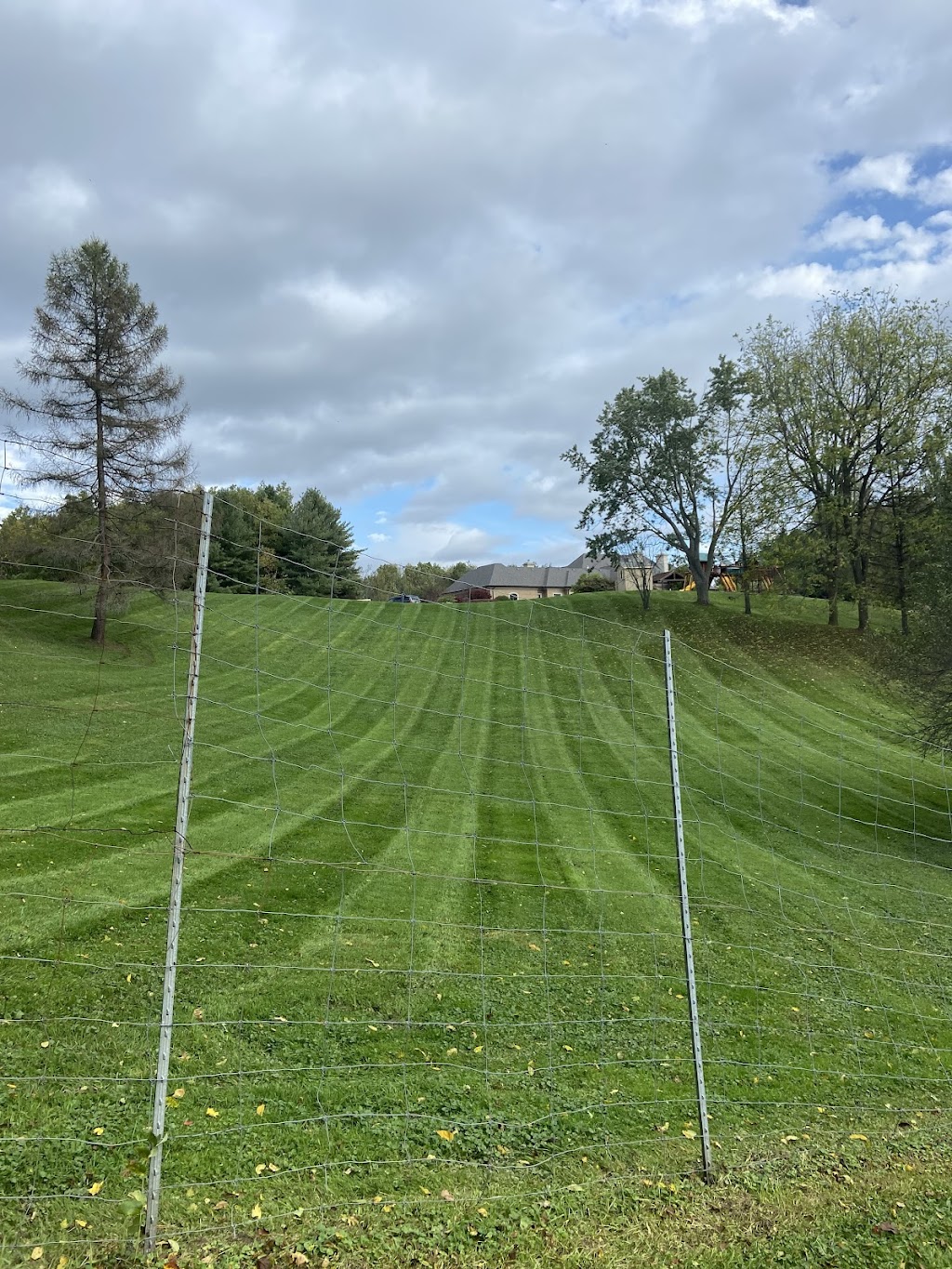 Elcho Ridge Inc. | 6624 Elcho Rd, Wellandport, ON L0R 2J0, Canada | Phone: (289) 696-1639