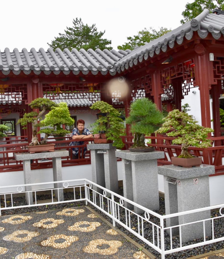 Bonsai and Penjing Society of Montreal | 4101 Rue Sherbrooke E, Montréal, QC H1X 2B2, Canada | Phone: (514) 872-1782