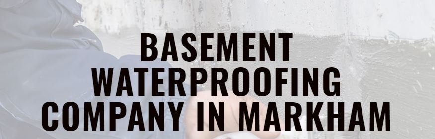 MT Drains & Plumbers Markham: Foundation Repair & Basement Water | 112 Snowshoe Crescent, Thornhill, ON L3T 4M6, Canada | Phone: (289) 800-7170