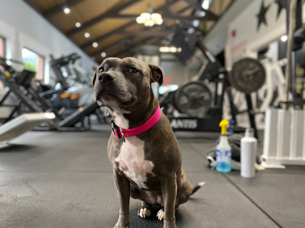 Pumphouse Fitness Inc | 5725 Vedder Rd, Chilliwack, BC V2R 3N3, Canada | Phone: (604) 800-6196