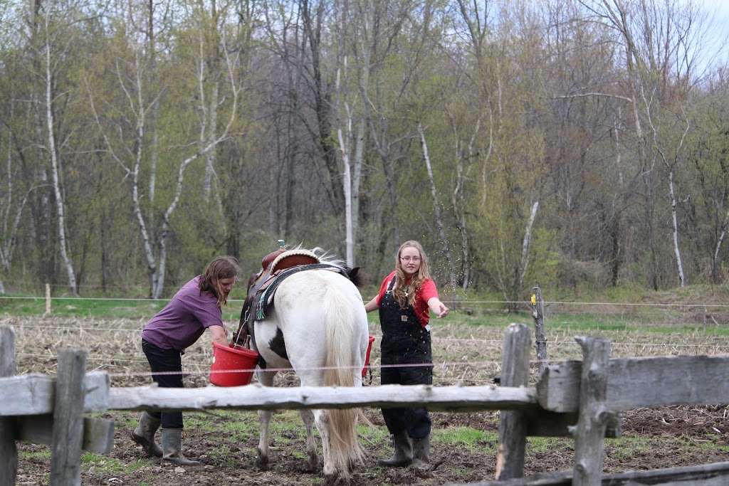 Northleaf Farms | 176 Chemin Brosseau, Saint-Joachim-de-Shefford, QC J0E 2G0, Canada | Phone: (579) 439-8322