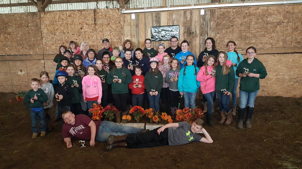 JEM Farm Appaloosas | 55 Elm St, Champlain, NY 12919, USA | Phone: (518) 578-0515