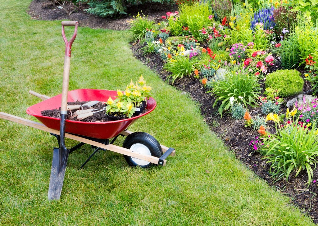 Brighton Lawn and Garden services | 96 Main St, Brighton, ON K0K 1H0, Canada | Phone: (647) 297-4278
