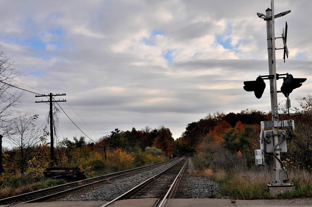 Active Transport Inc | 245 Bronte St N, Milton, ON L9T 3N7, Canada | Phone: (905) 878-8167