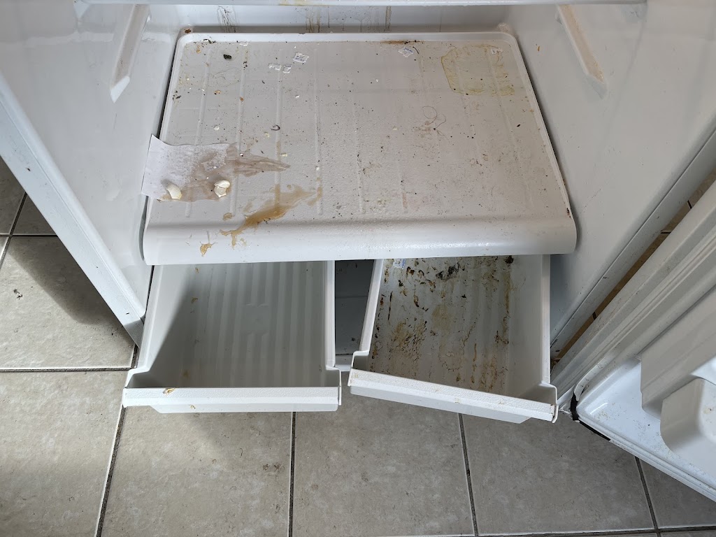 Mighty Genie Cleaning Service | Snowberry Ln, Hamilton, ON L8K 0A4, Canada | Phone: (289) 237-1049