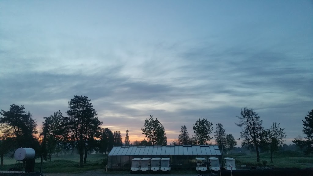 Chris Lee Performance Golf Academy | 19675 Meadow Gardens Way, Pitt Meadows, BC V3Y 1Z2, Canada | Phone: (778) 865-4653