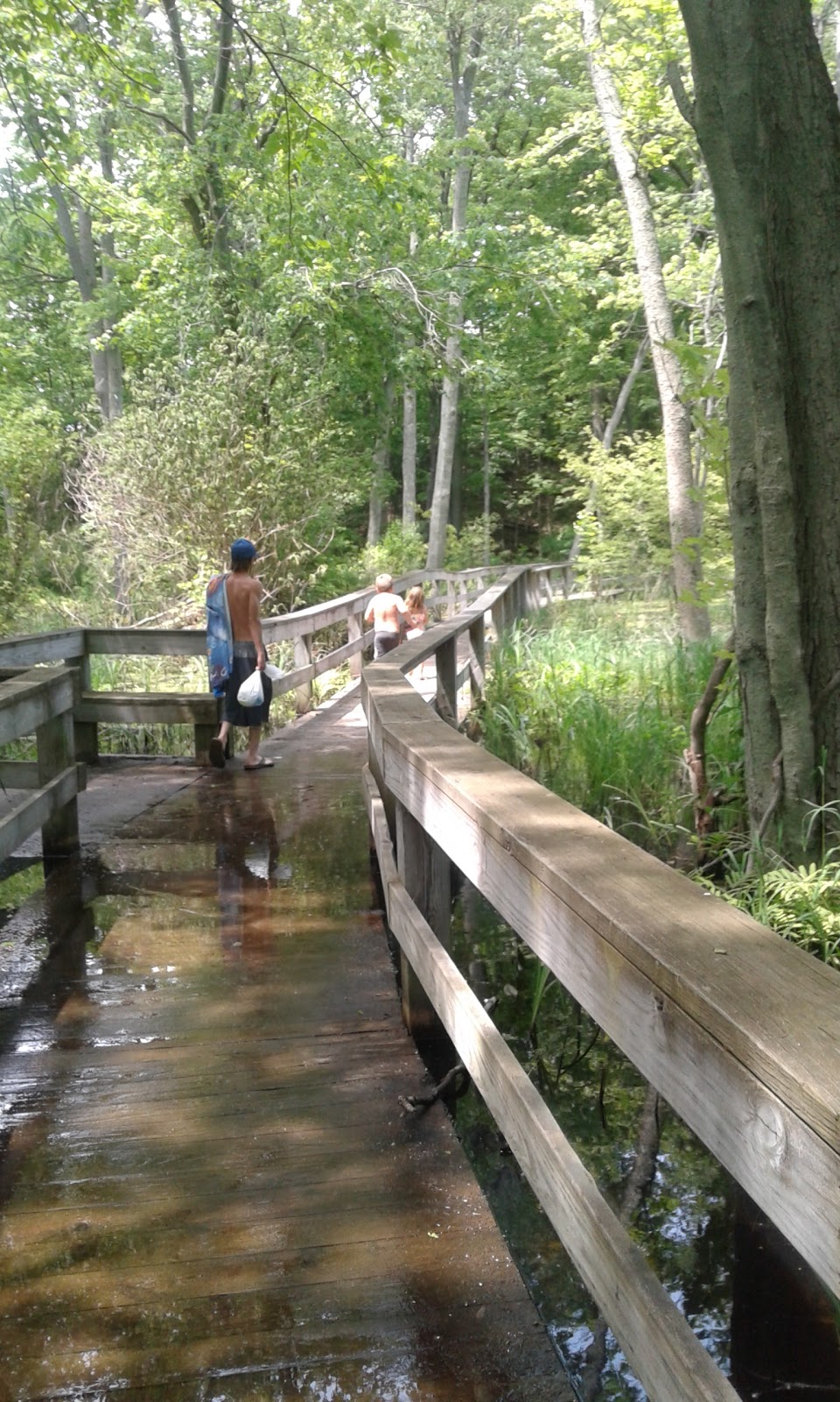 Black Pond Wildlife Management Area | Henderson, NY 13650, USA | Phone: (518) 402-8920