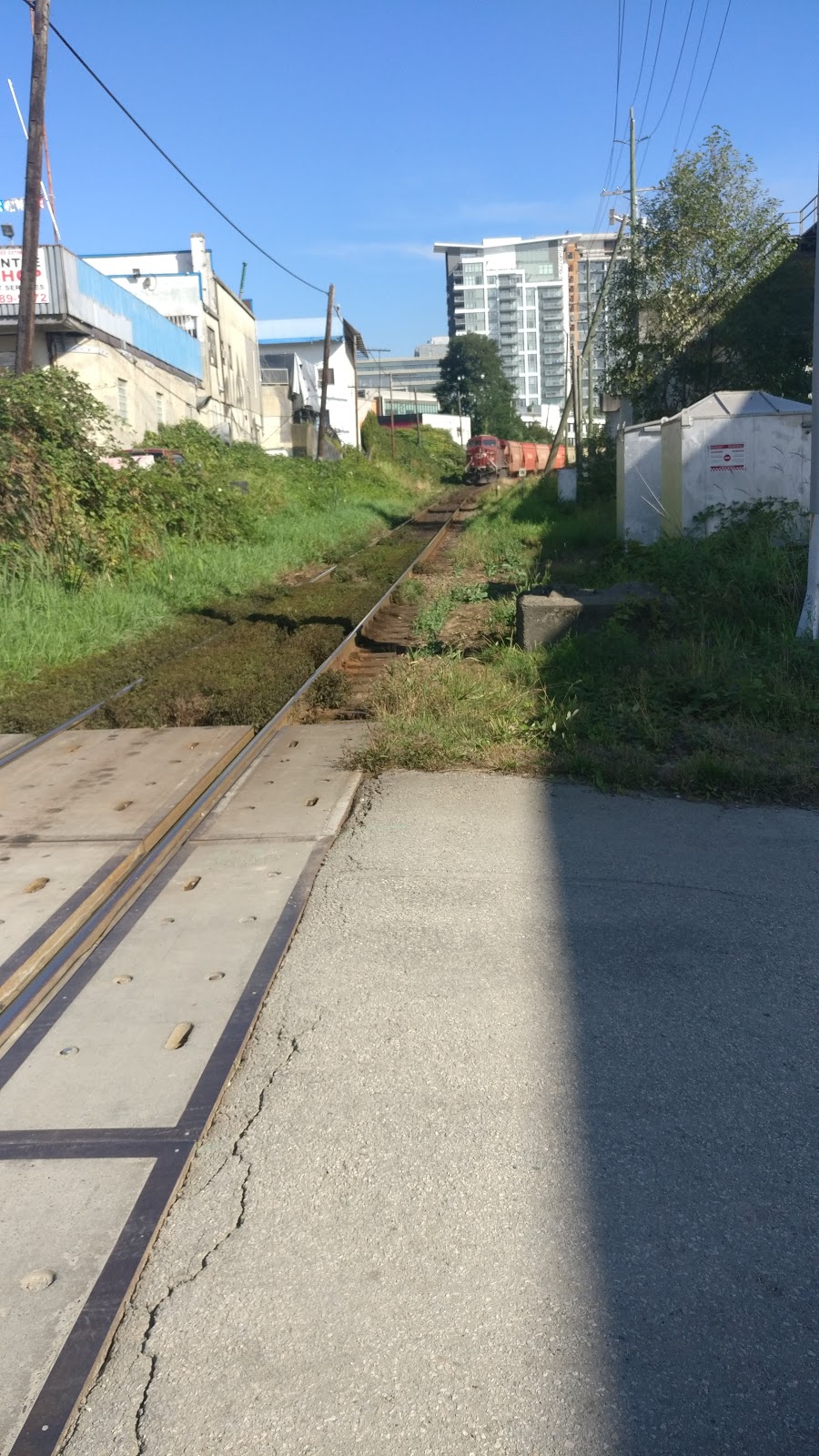 Sapperton Landing Park | New Westminster, BC V3L 1H9, Canada