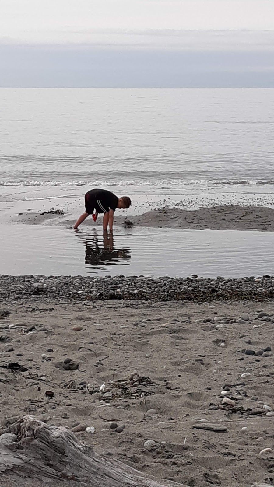 Morans Beach County Park | 899 Powell Rd, Oak Harbor, WA 98277, USA | Phone: (360) 679-7331