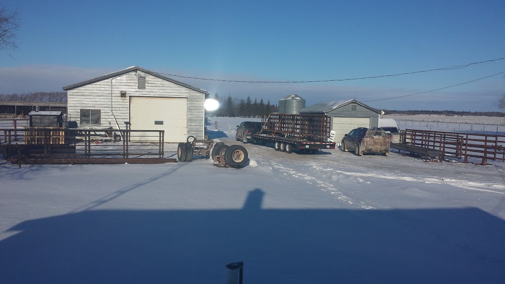 Astewo Arborg Steel Works | 3 miles west of Arborg on Highway 68 233, Arborg, MB R0C 0A0, Canada | Phone: (204) 641-2269