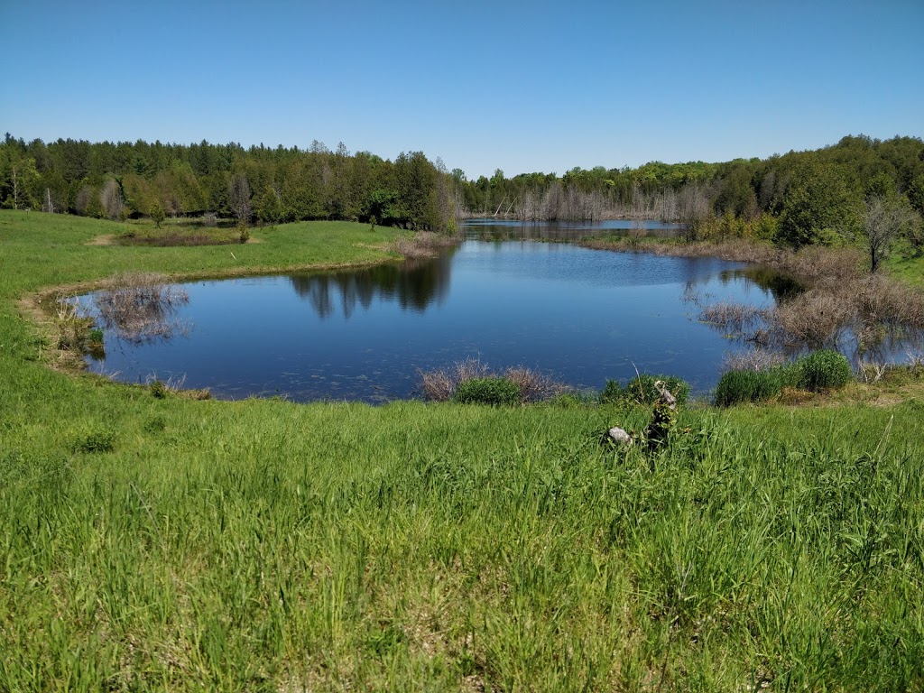 Kinghurst Nature Reserve | 175195 Concession Rd 6, Elmwood, ON N0G 1S0, Canada | Phone: (800) 440-2366