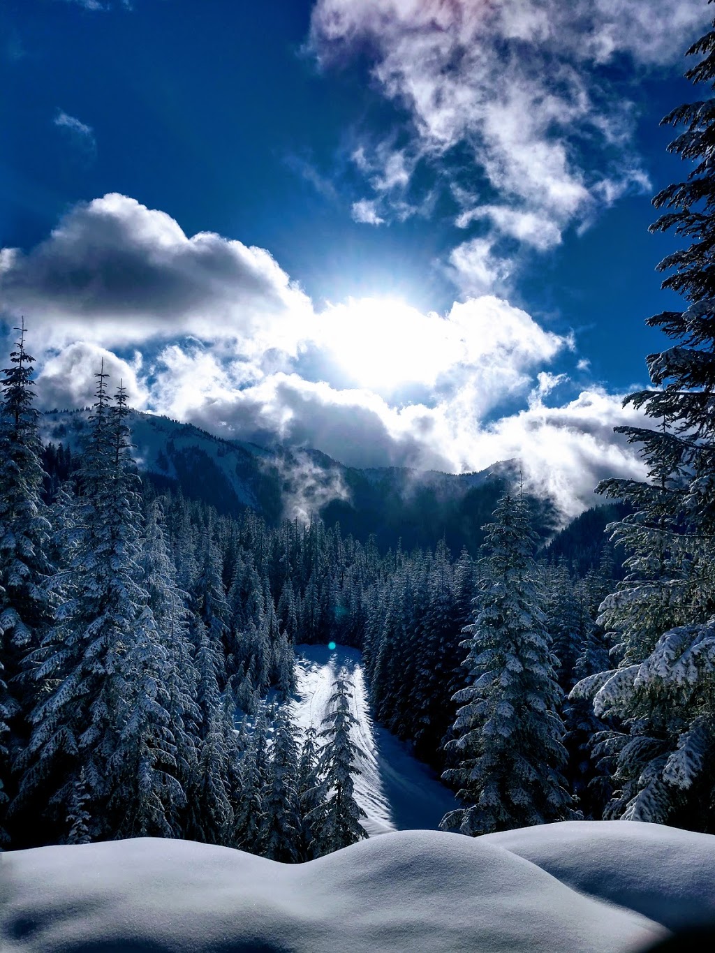 Damfino Lakes Trailhead | NF-31, Washington, USA