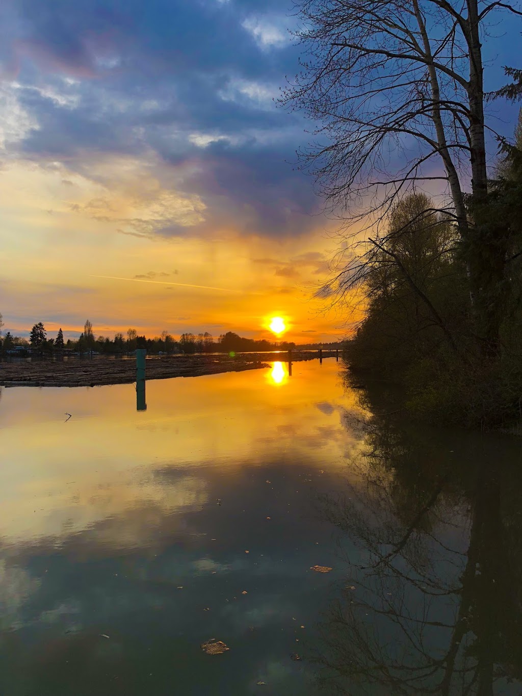 Foreshore Park | Burnaby Fraser Foreshore Park, Byrne Rd, Burnaby, BC V5J 3H6, Canada
