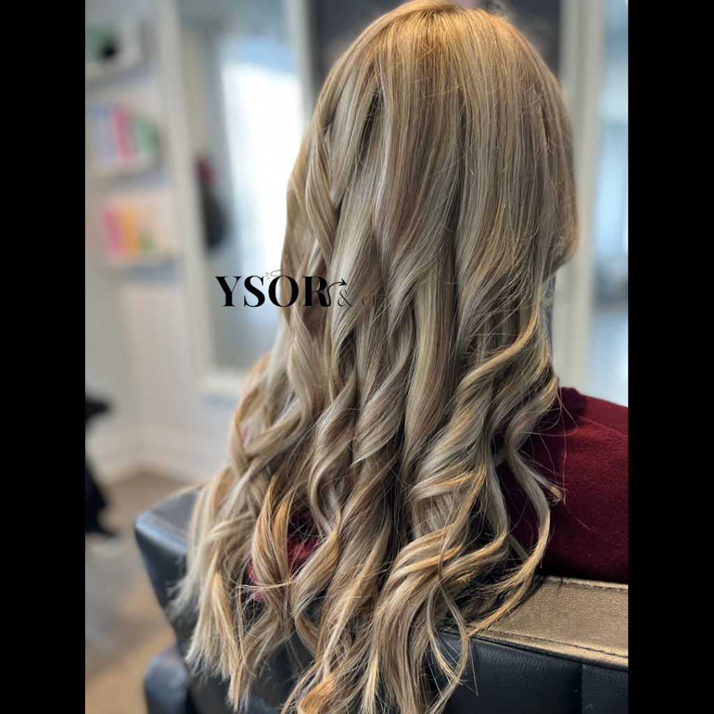 Ysor & cie. | 535 Bd Laurier O, Sainte-Madeleine, QC J0H 1S0, Canada | Phone: (450) 501-7628