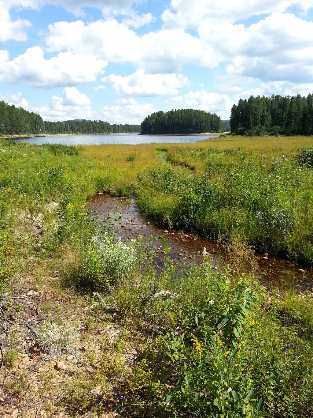 Saint-Maurice Wildlife Reserve | 3774 QC-155, Rivière-Matawin, QC G0X 2C0, Canada | Phone: (819) 646-5687