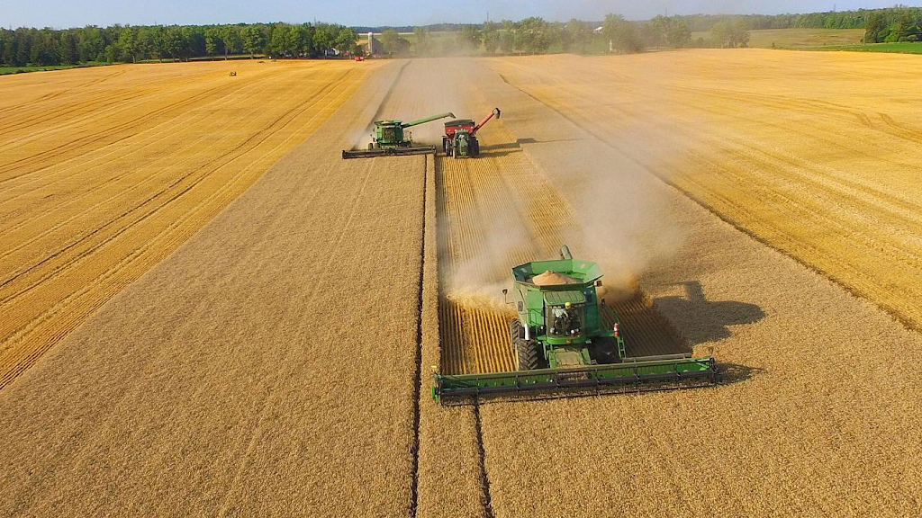 519 Aerial Imagery | 5348 Perth Line 29 RR#2, Mitchell, ON N0K 1N0, Canada | Phone: (519) 301-5738
