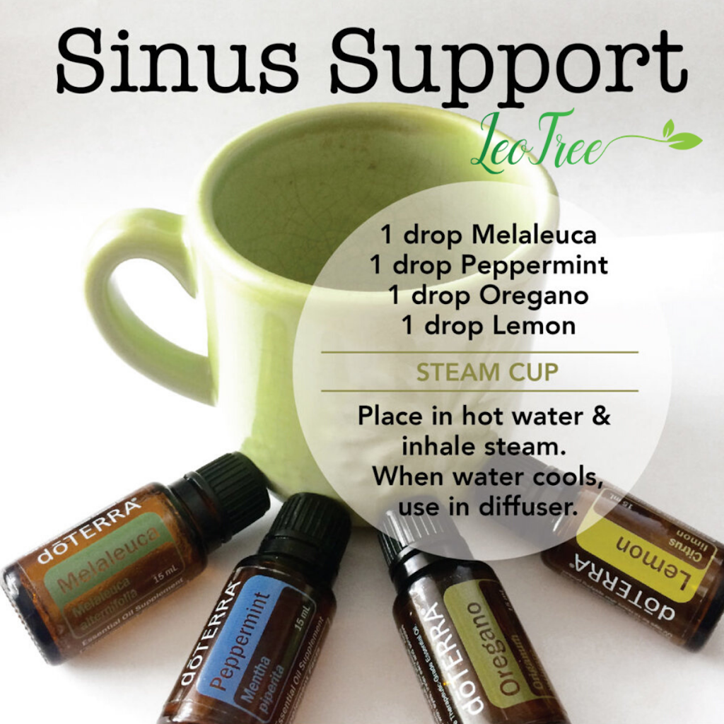 LeoTree Wellness | 123 Anywhere, Rapelje St, St Thomas, ON N5R 0H1, Canada | Phone: (519) 200-9185