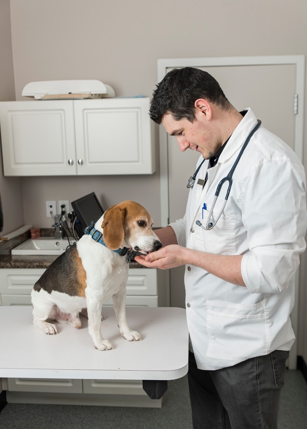 Highview Animal Clinic Ltd | 1104 18 St SE, High River, AB T1V 2A6, Canada | Phone: (403) 652-1300