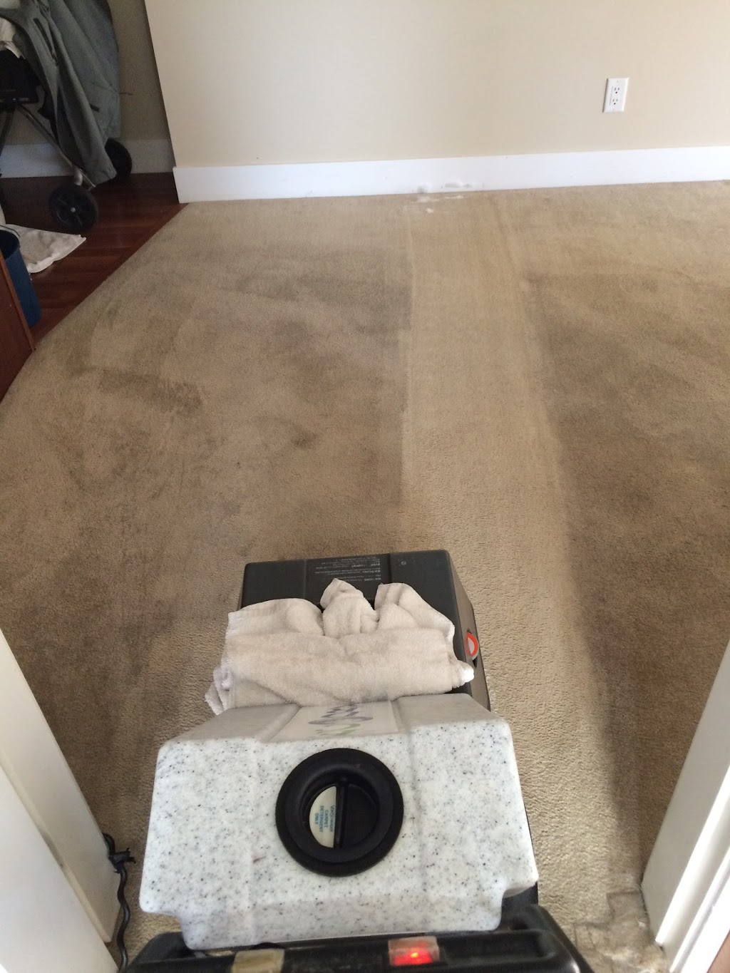Ecodry Carpet and Upholstery Cleaning Services. | 265 Madsen Rd, Kelowna, BC V1X 5J9, Canada | Phone: (250) 870-3760
