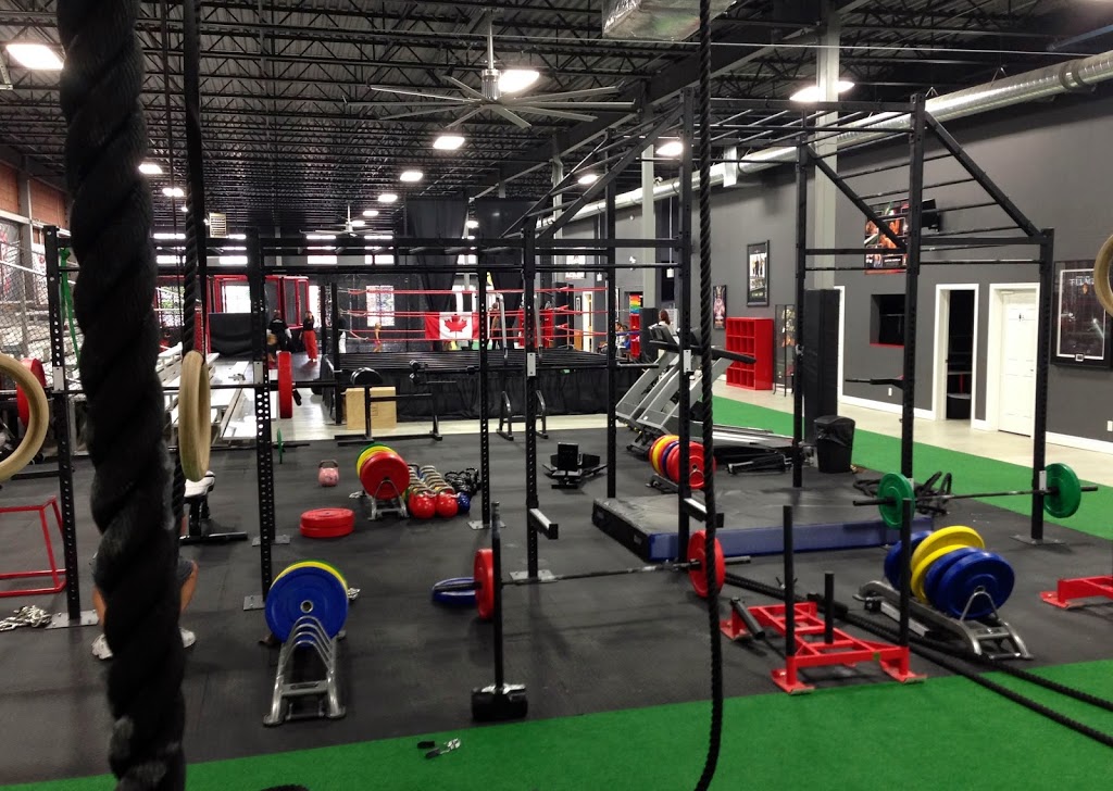 Battle Arts Academy | 4880 Tomken Rd, Mississauga, ON L4W 1J8, Canada | Phone: (289) 622-8853