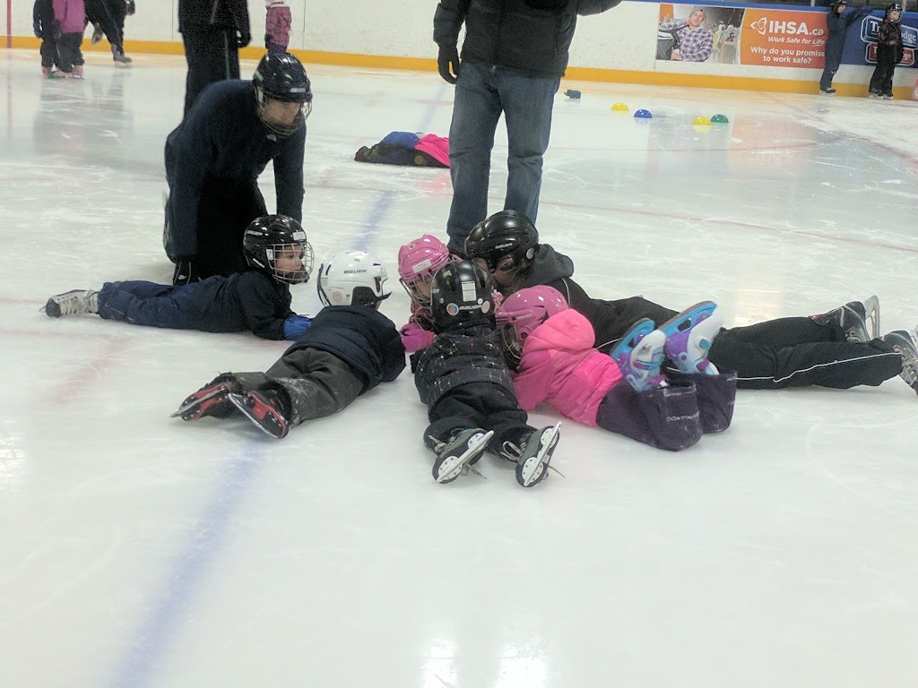 Brewer Arena | 151 Brewer Way, Ottawa, ON K1S 5T1, Canada | Phone: (613) 247-4917