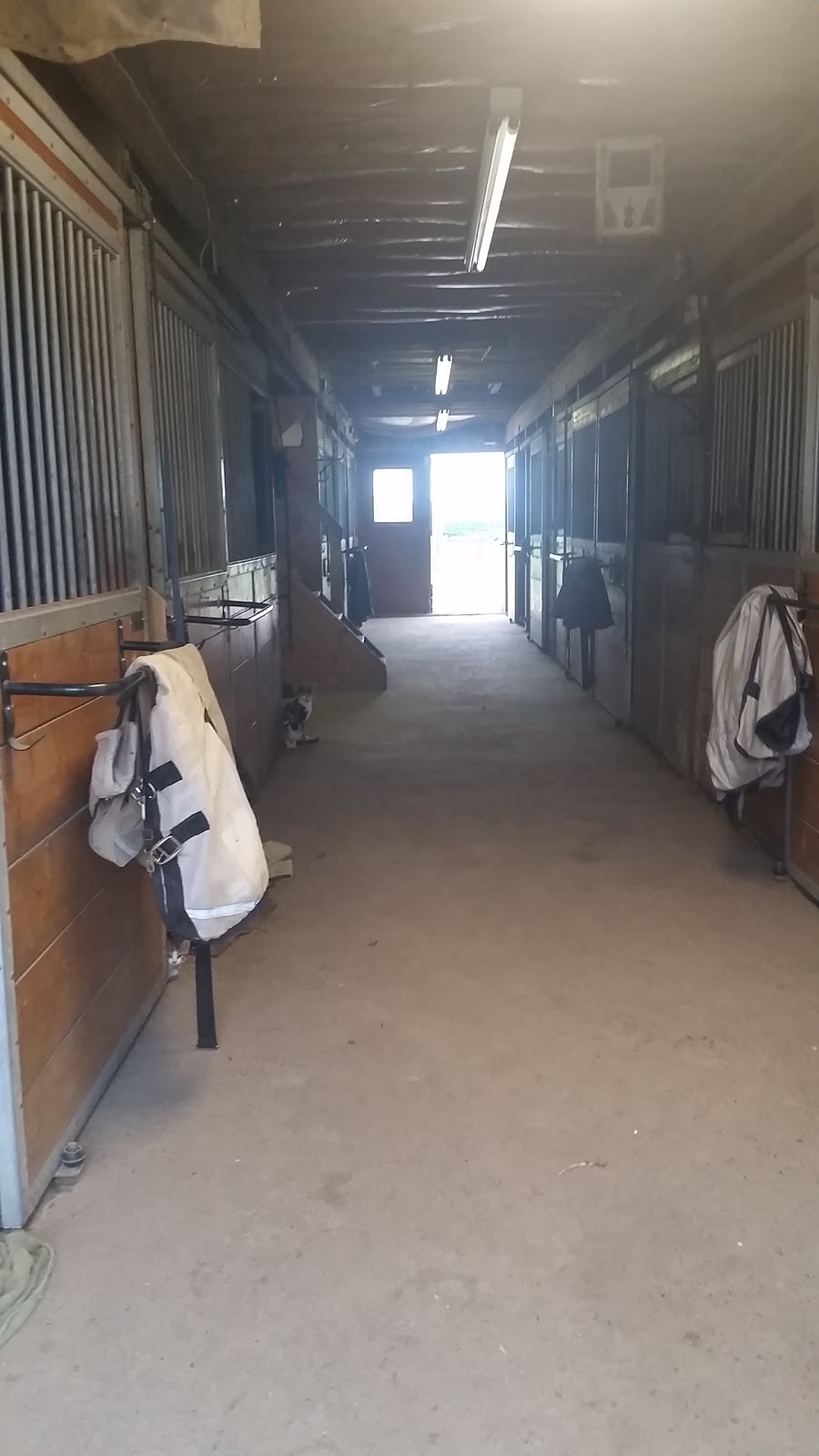 3 Nails Ranch & Trails Inc | 6635 3 Line, Fergus, ON N1M 2W4, Canada | Phone: (519) 994-7400