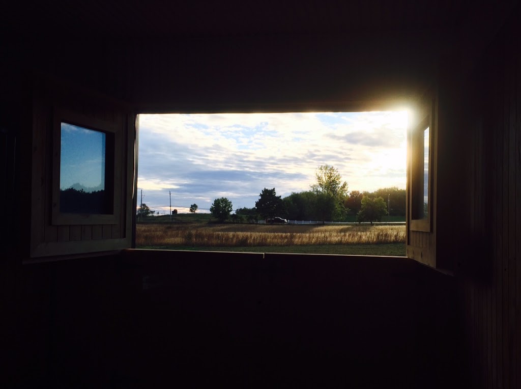 Briary Farm | 10351 Lake Ridge Rd, Port Perry, ON L9L 1V7, Canada | Phone: (416) 709-1826