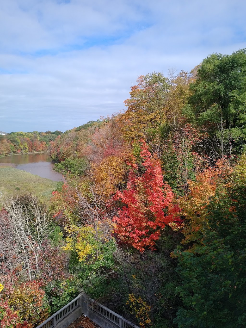 Hogs Back Park | 3 Cross Ave, Oakville, ON L6J 7W2, Canada