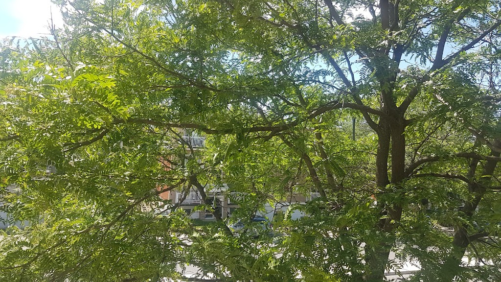 Electo fix | Boulevard Langelier, Montréal, QC H1G 3M2, Canada | Phone: (438) 923-2111