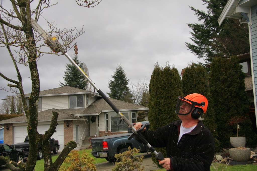 Able Carpet Care | 11291 236 St, Maple Ridge, BC V2W 1W7, Canada | Phone: (604) 467-4457