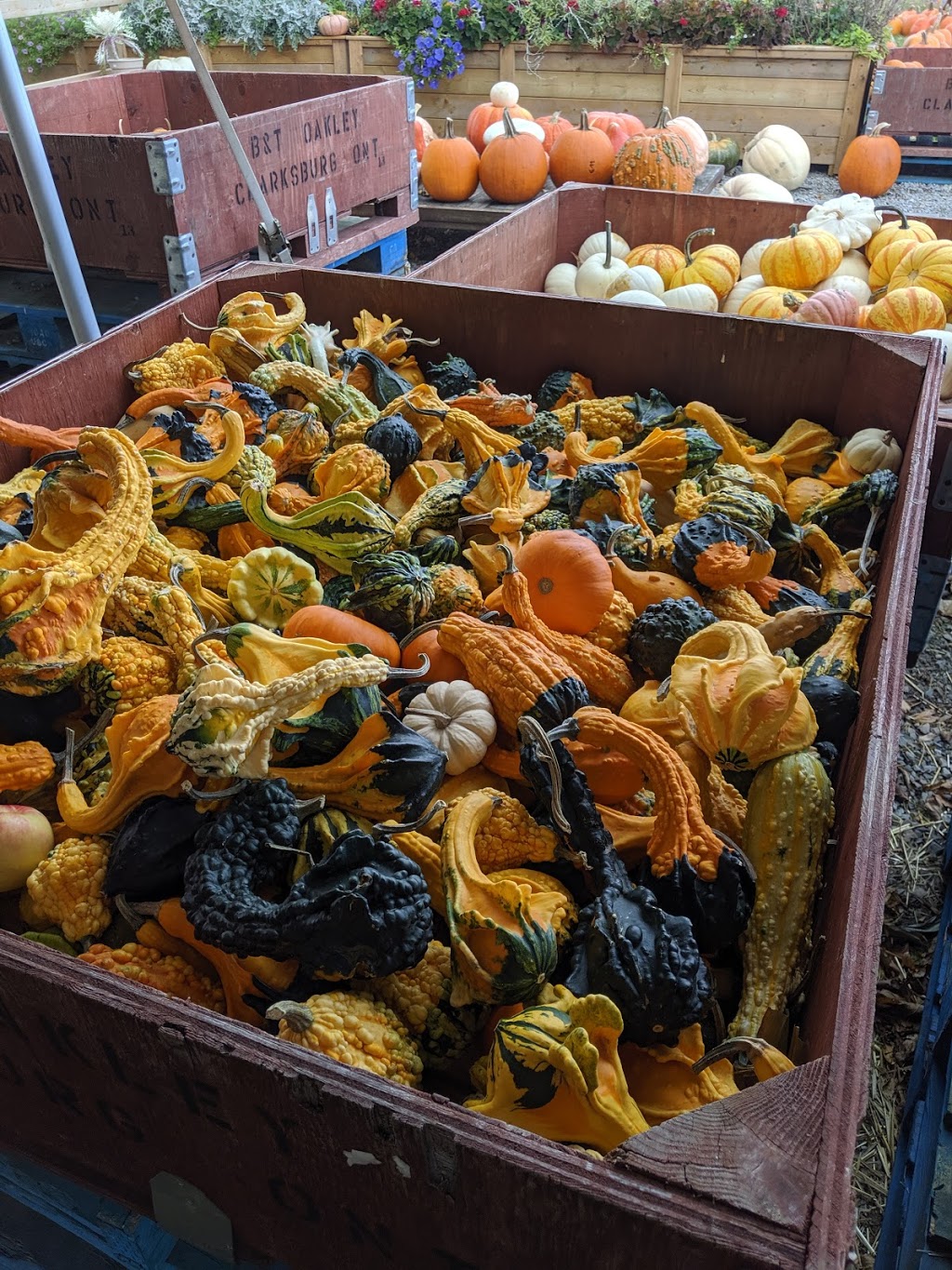 Goldsmiths Orchard Market | 207600 ON-26, Thornbury, ON N0H 2P0, Canada | Phone: (519) 599-3246