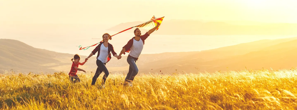 Next Level Insurance | 240 Van Slyke Way, Red Deer, AB T4R 0N9, Canada | Phone: (587) 877-6114