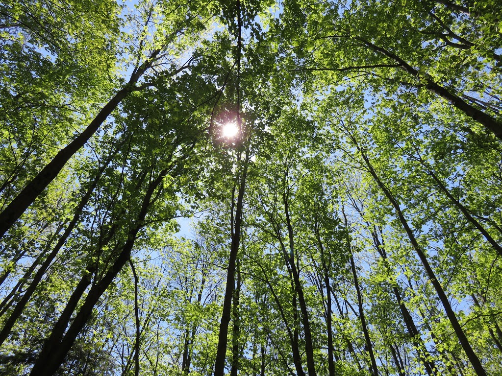 Altona Forest Entrance & Parking | 1883 Altona Rd, Pickering, ON L1V, Canada | Phone: (905) 839-9900
