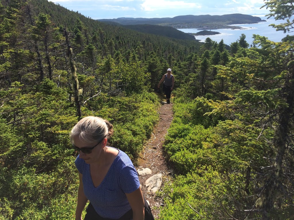 Hardy Villa | 133 Hants Harbour Rd, Hants Harbour, NL A0B 1Y0, Canada | Phone: (709) 699-9030