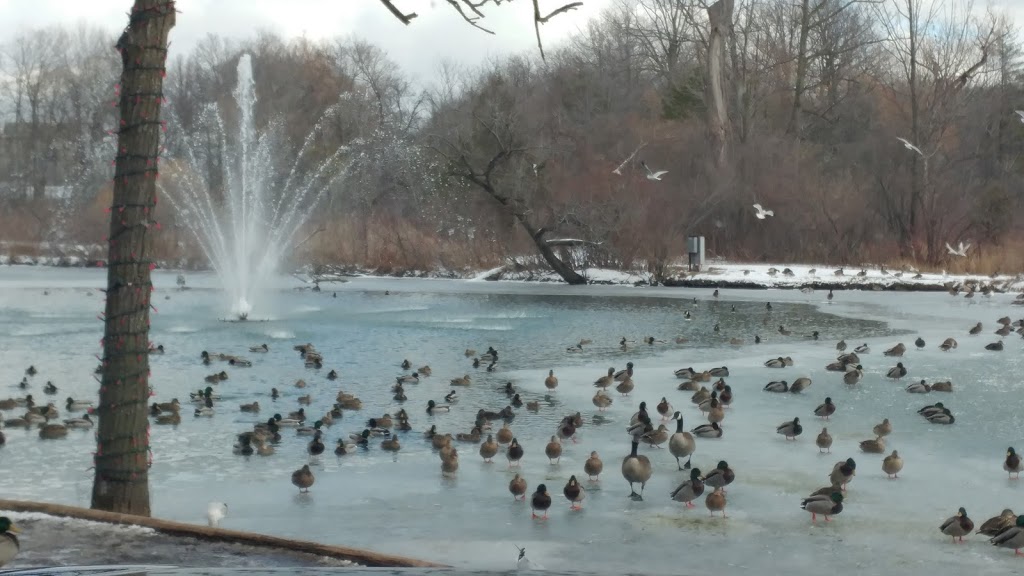 Dufferin Islands Nature Area | 6345 Dufferin Isle Rd, Allanburg, ON L0S 1A0, Canada | Phone: (877) 642-7275